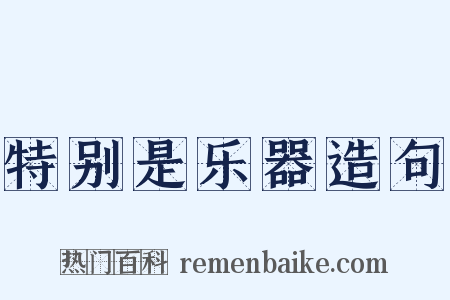 特别是乐器造句是什么意思的图片